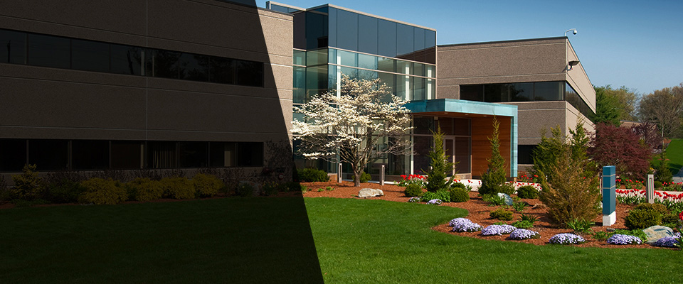 Haines City Landscapers