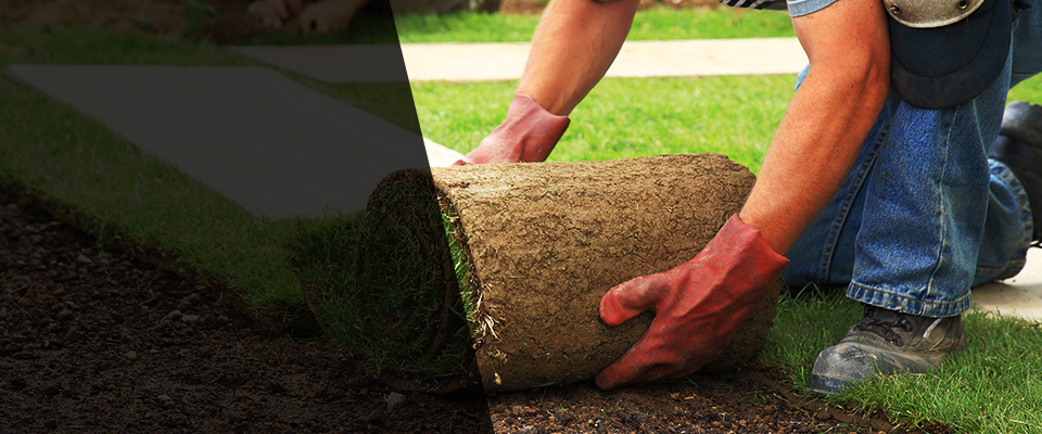 Haines City Landscapers